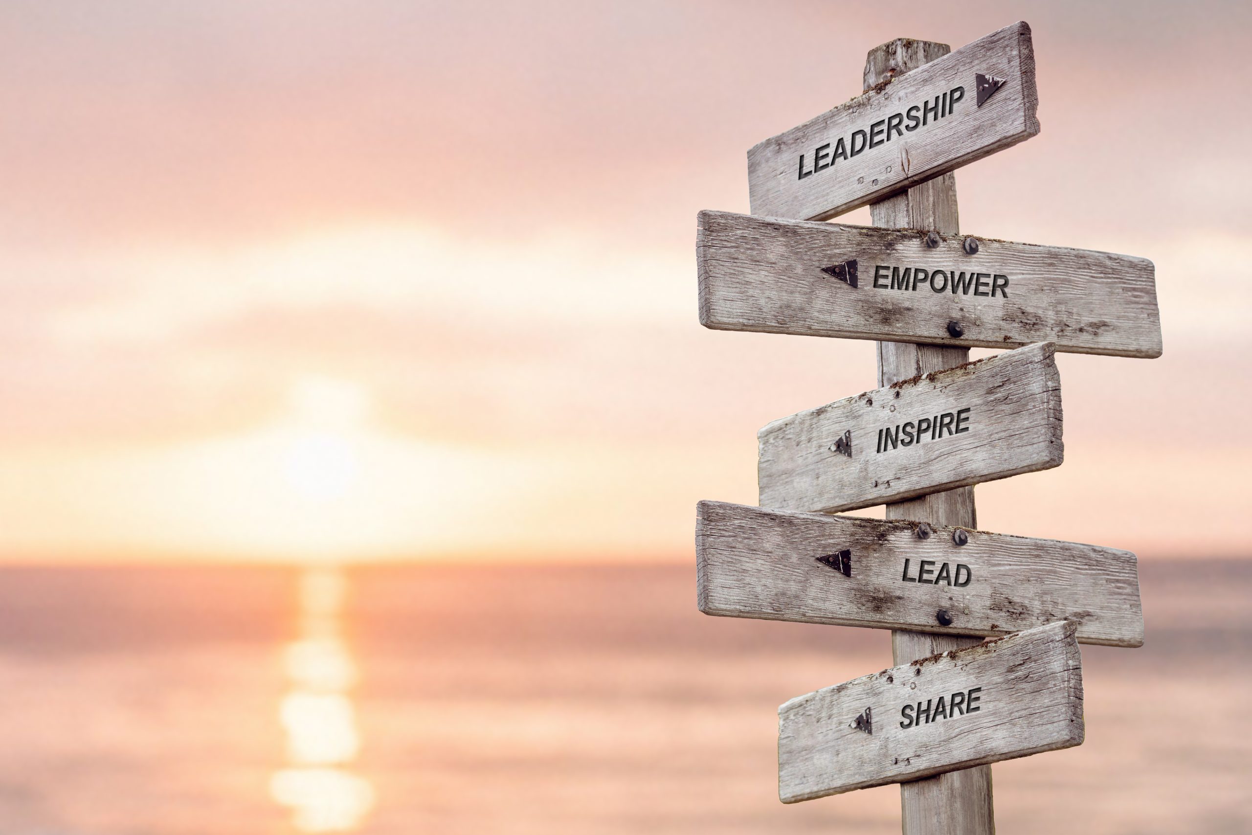 Team Management: Building strong teams with trust and bonding