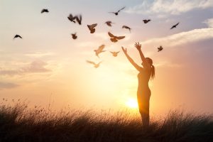 Freedom
