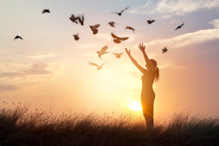 Freedom