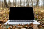 Working Life – The importance of a planned second innings