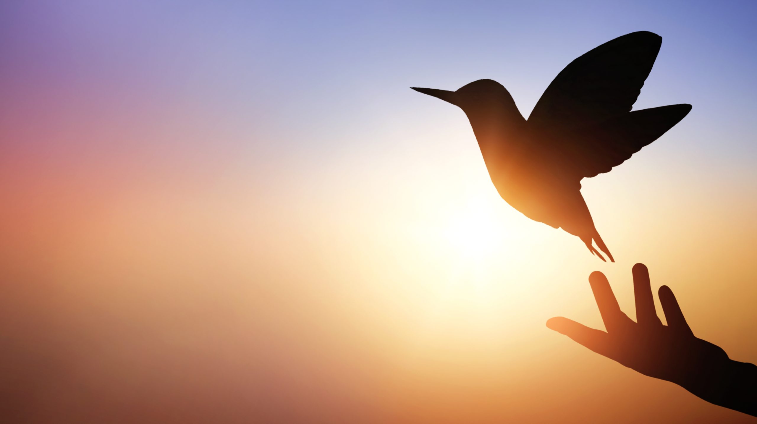 Unveiling the wealth of ancient wisdom – buried under modern education