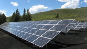 Sustainability
