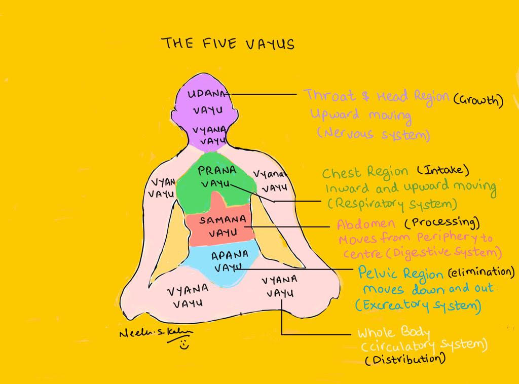 Pancha Prana – Understanding Yogic Anatomy  -Part 1