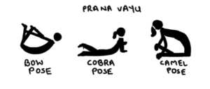 Prana-Vayu
