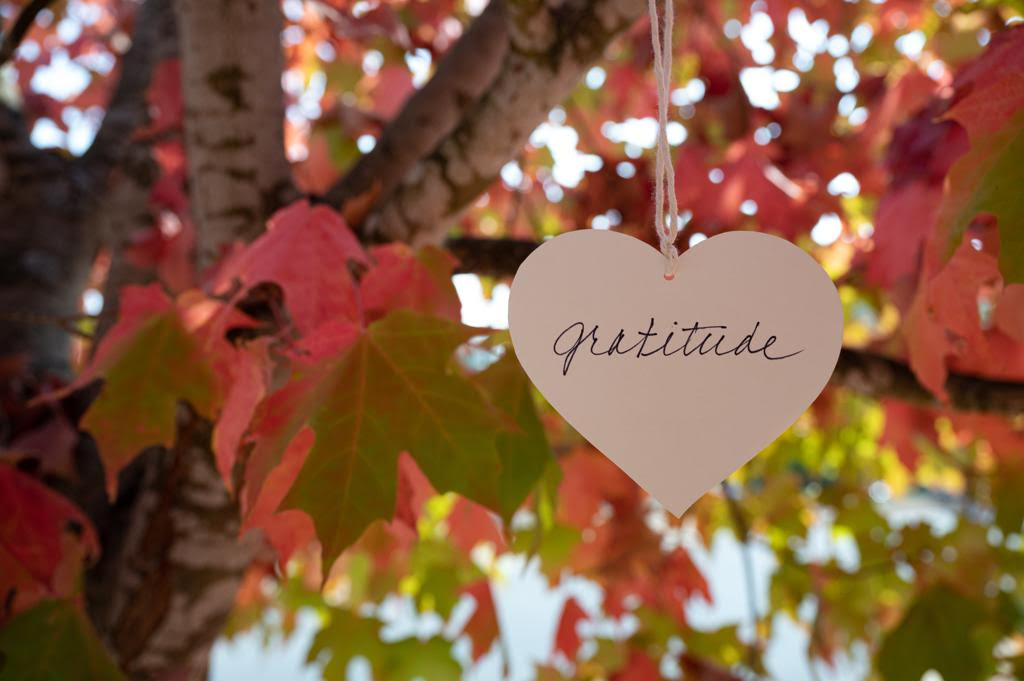 The Power Of Gratitude – its impact on Life and Happiness