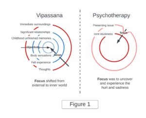 V& P Figure-1