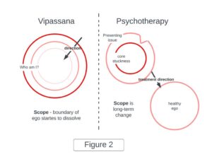 V&P Figure-2