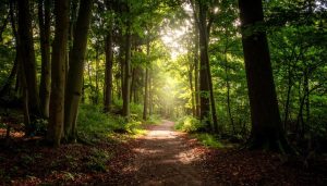 InfinumGrowth – Personal Development