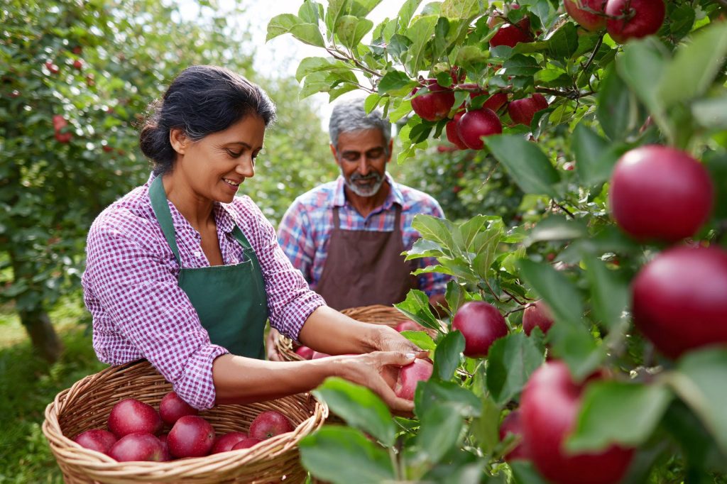 Still Becoming: Generativity in Midlife